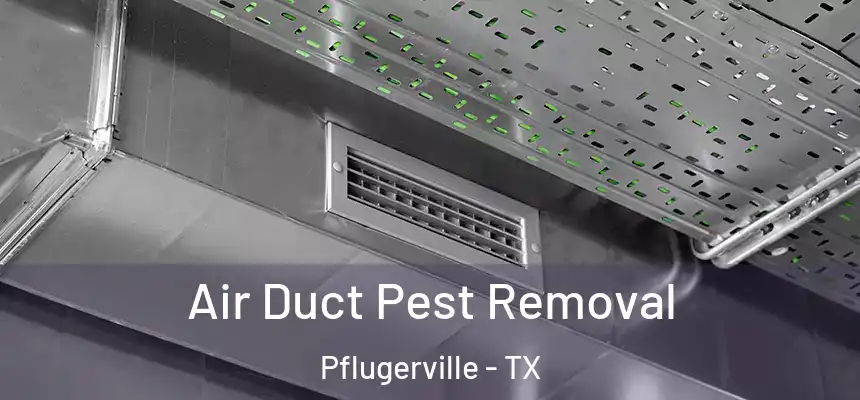 Air Duct Pest Removal Pflugerville - TX