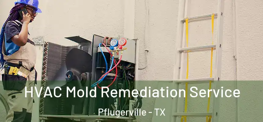  HVAC Mold Remediation Service Pflugerville - TX