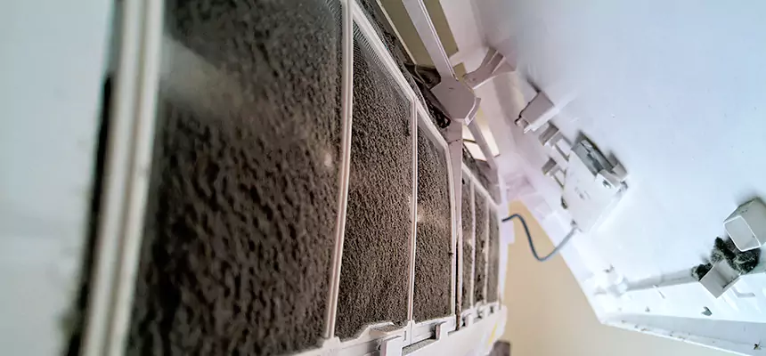 Preventive Air Duct Bacteria Removal in Pflugerville