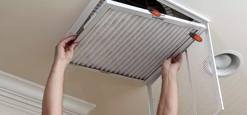 Preventive Cockroach-Proofing for Ducts in Pflugerville