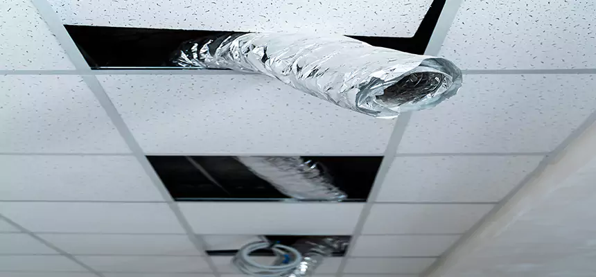 Our Air Duct Pet Hair Removal Services in Pflugerville, TX