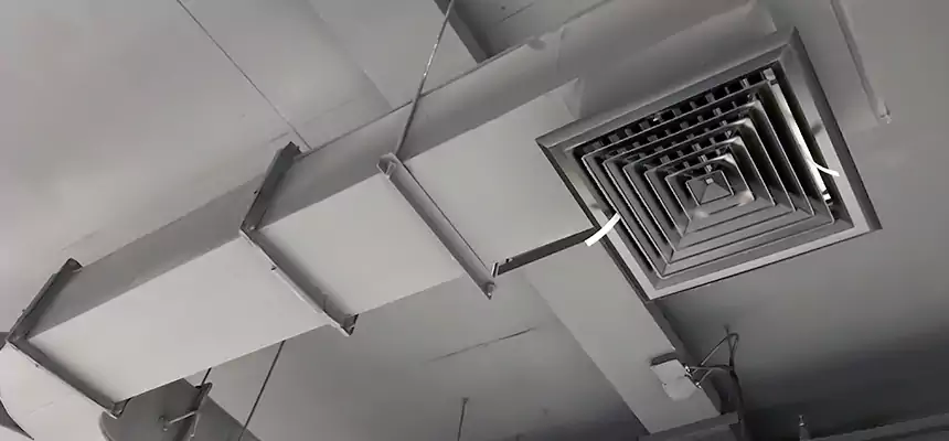 Restorative Allergy Relief Vent Cleaning – Coil, Blower & Housing Detail in Pflugerville