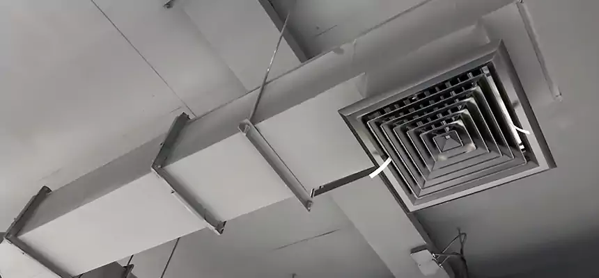 Our Rodent Droppings In Vents Services in Pflugerville, TX