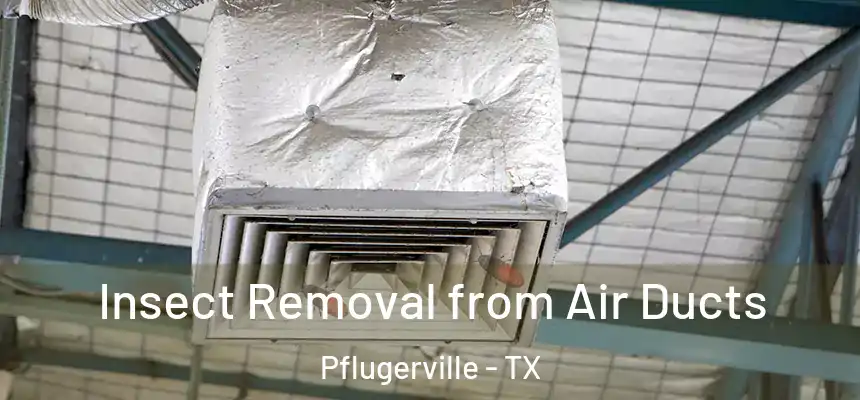 Insect Removal from Air Ducts Pflugerville - TX