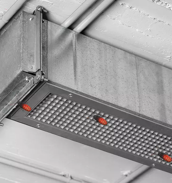 About Air Duct Cockroach Removal in Pflugerville, TX