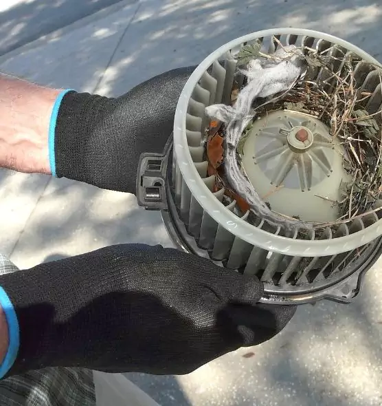 About Air Duct Mice Removal in Pflugerville, TX