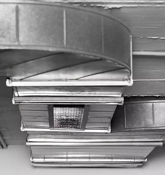 Professional Air Duct Pest Removal in Pflugerville, TX