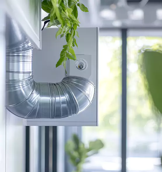 Professional Eco-Safe Dryer Vent Cleaning in Pflugerville, TX