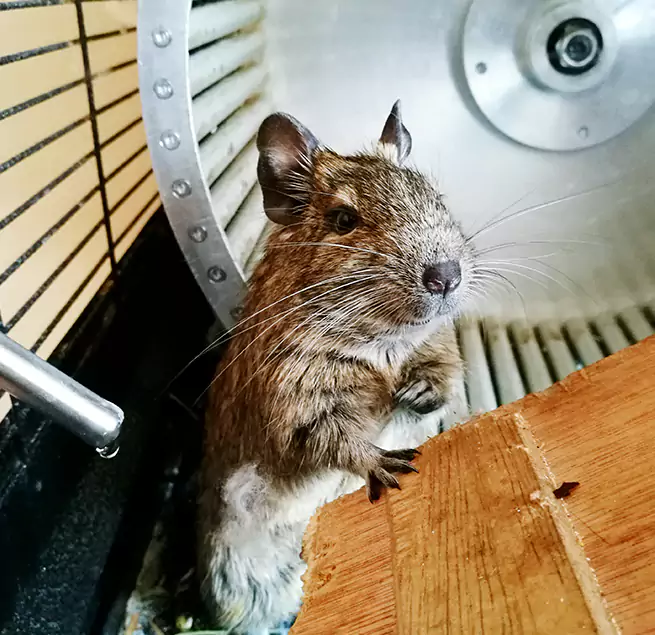 Why Homeowners & Businesses Trust Us Pflugerville, TX?