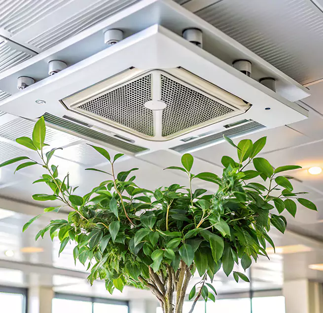 Why Homeowners & Businesses Trust Us in Pflugerville, TX?